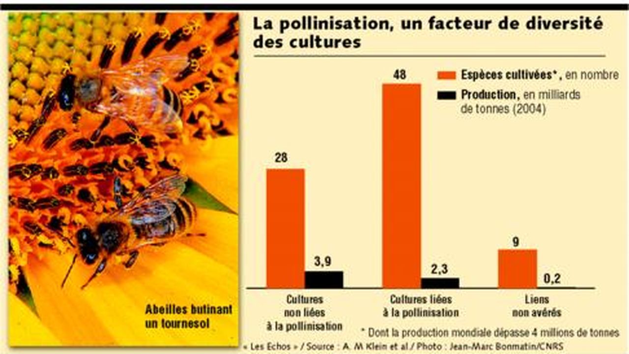 Agriculture et abeille