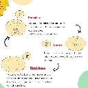 Bee wraps utilisation.webp