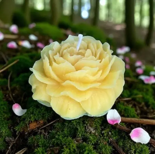 Bougie fleur de pivoine