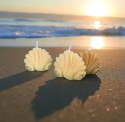 Bougie Coquillage